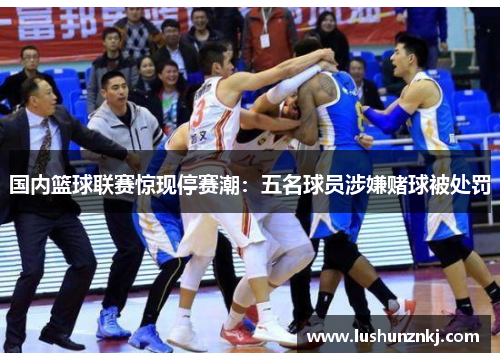 国内篮球联赛惊现停赛潮：五名球员涉嫌赌球被处罚