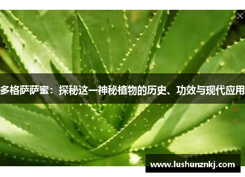 多格萨萨蜜：探秘这一神秘植物的历史、功效与现代应用