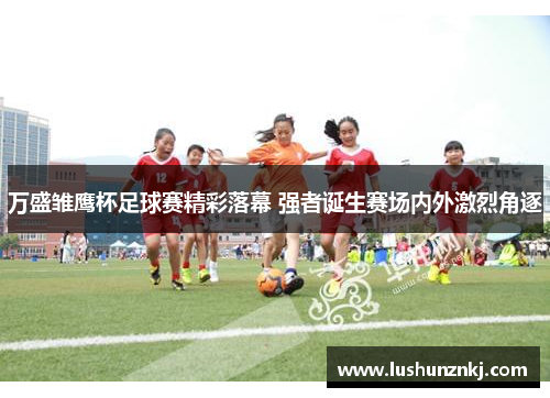 万盛雏鹰杯足球赛精彩落幕 强者诞生赛场内外激烈角逐