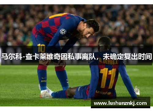 马尔科-查卡莱维奇因私事离队，未确定复出时间